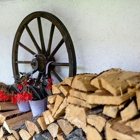 Ferienwohnung Duffner Schonach im Schwarzwald Ngoại thất bức ảnh