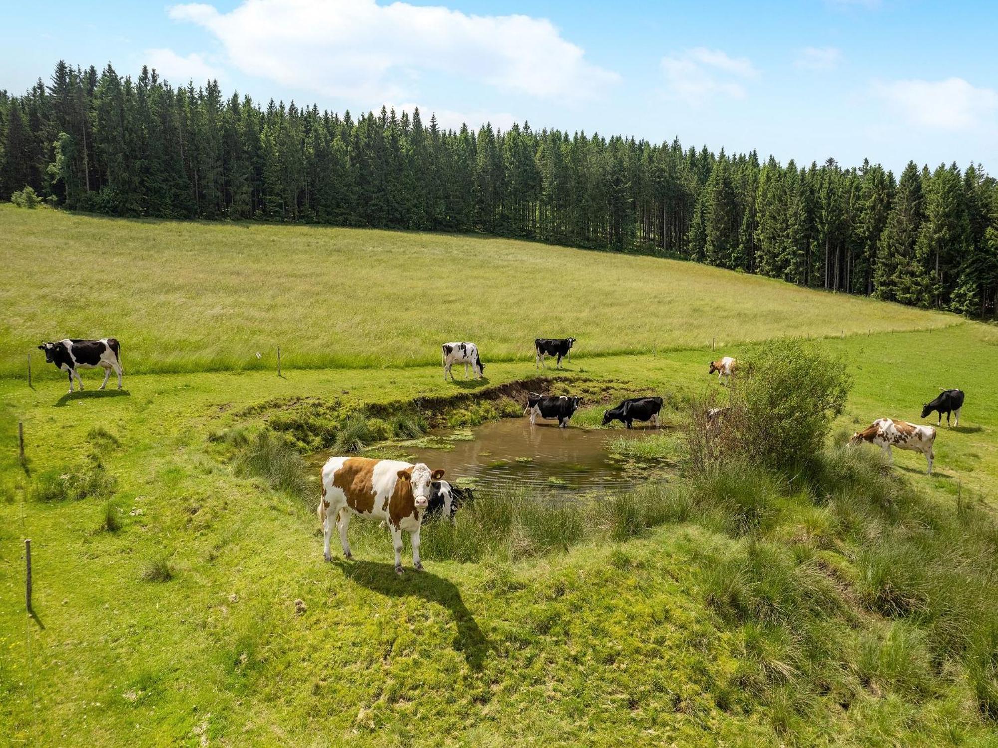 Ferienwohnung Duffner Schonach im Schwarzwald Ngoại thất bức ảnh