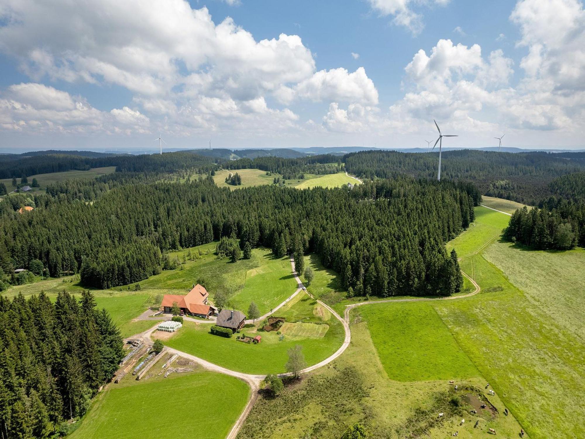 Ferienwohnung Duffner Schonach im Schwarzwald Ngoại thất bức ảnh