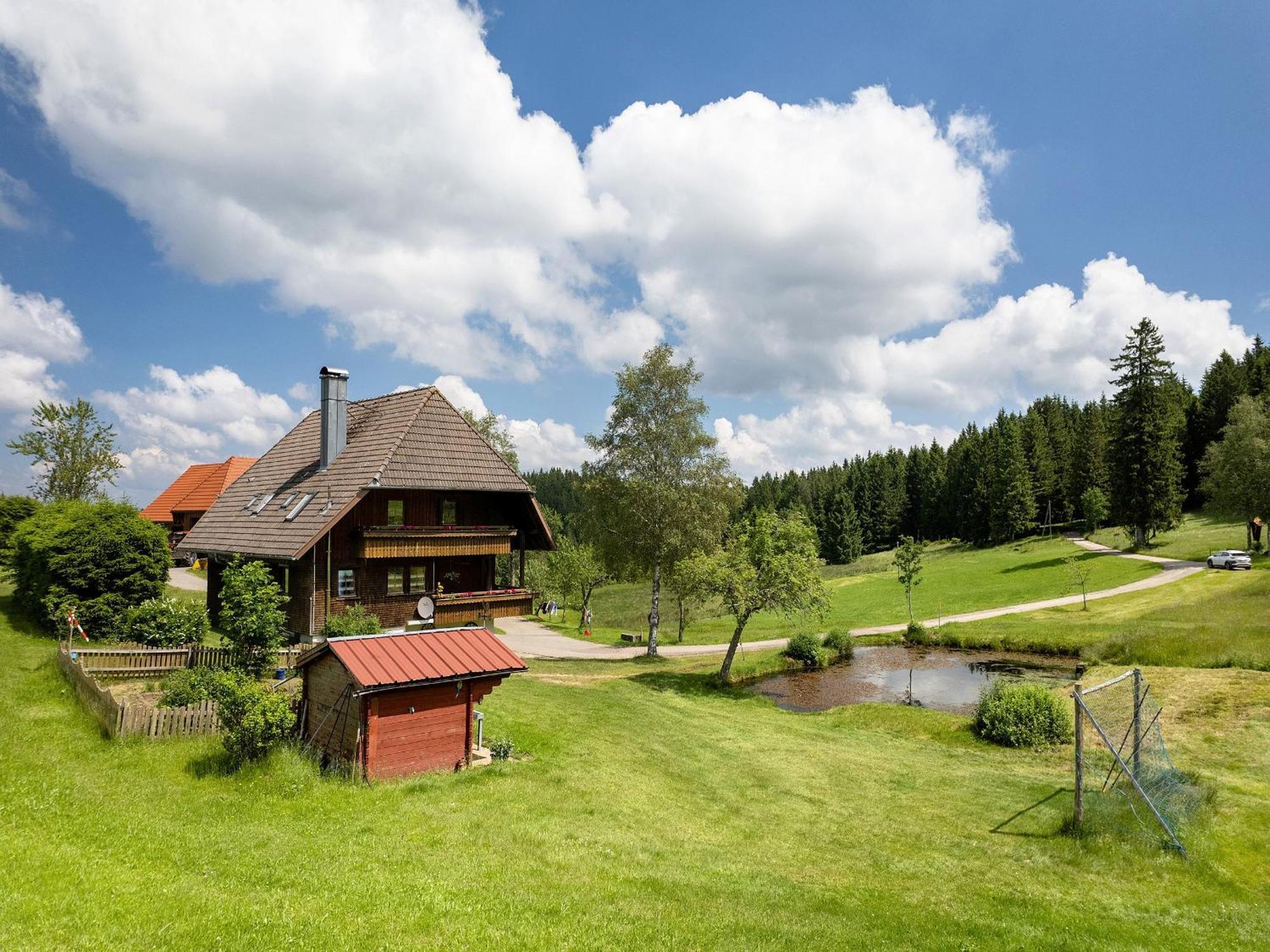 Ferienwohnung Duffner Schonach im Schwarzwald Ngoại thất bức ảnh